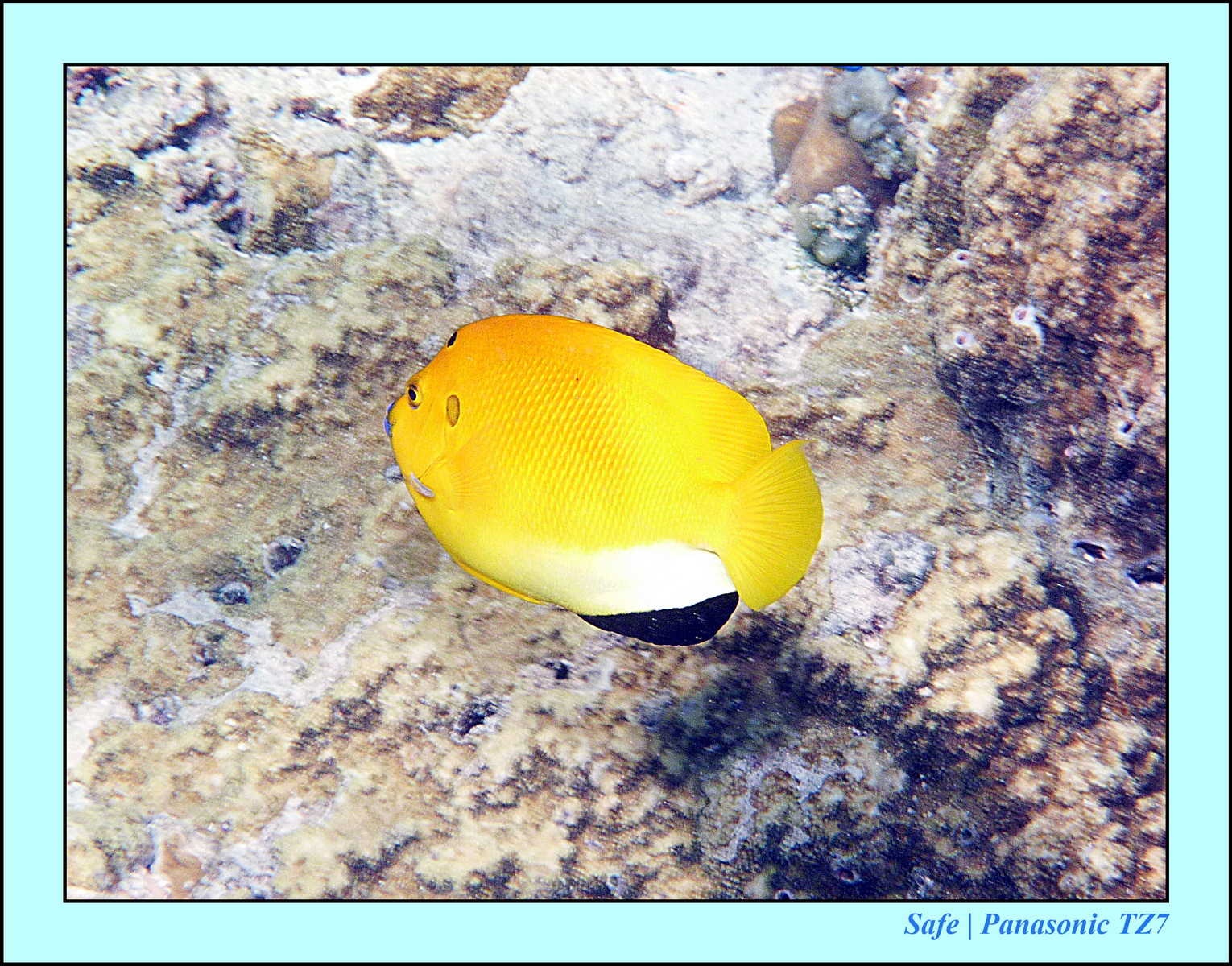 2012 - 07 - Gili - 57